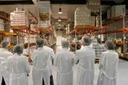 Observers in a pharmaceutical manufacturing facility