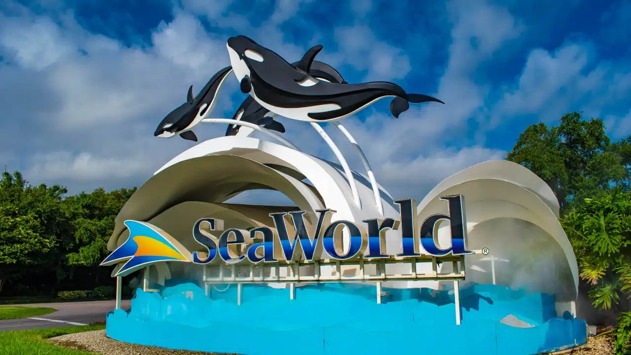 Sea World during closure