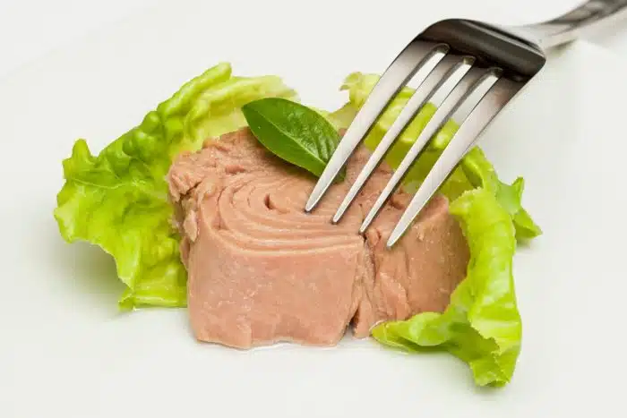 Trader Joe's canned tuna on a plate