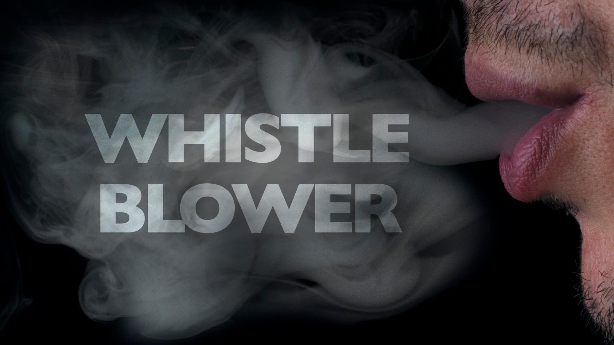 Whistleblowers unveil Medicaid fraud.