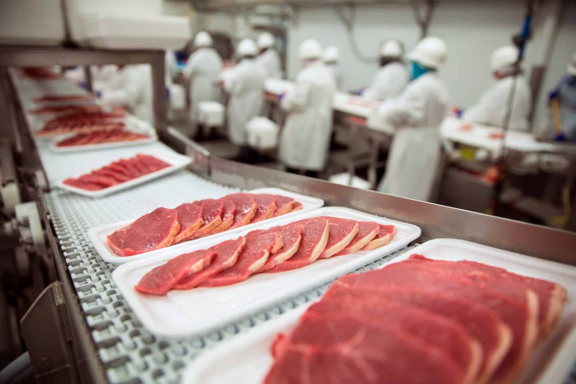 Raw pork on trays on conveyor at meat processing plant
