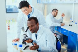Male researchers test pills in a laboratory
