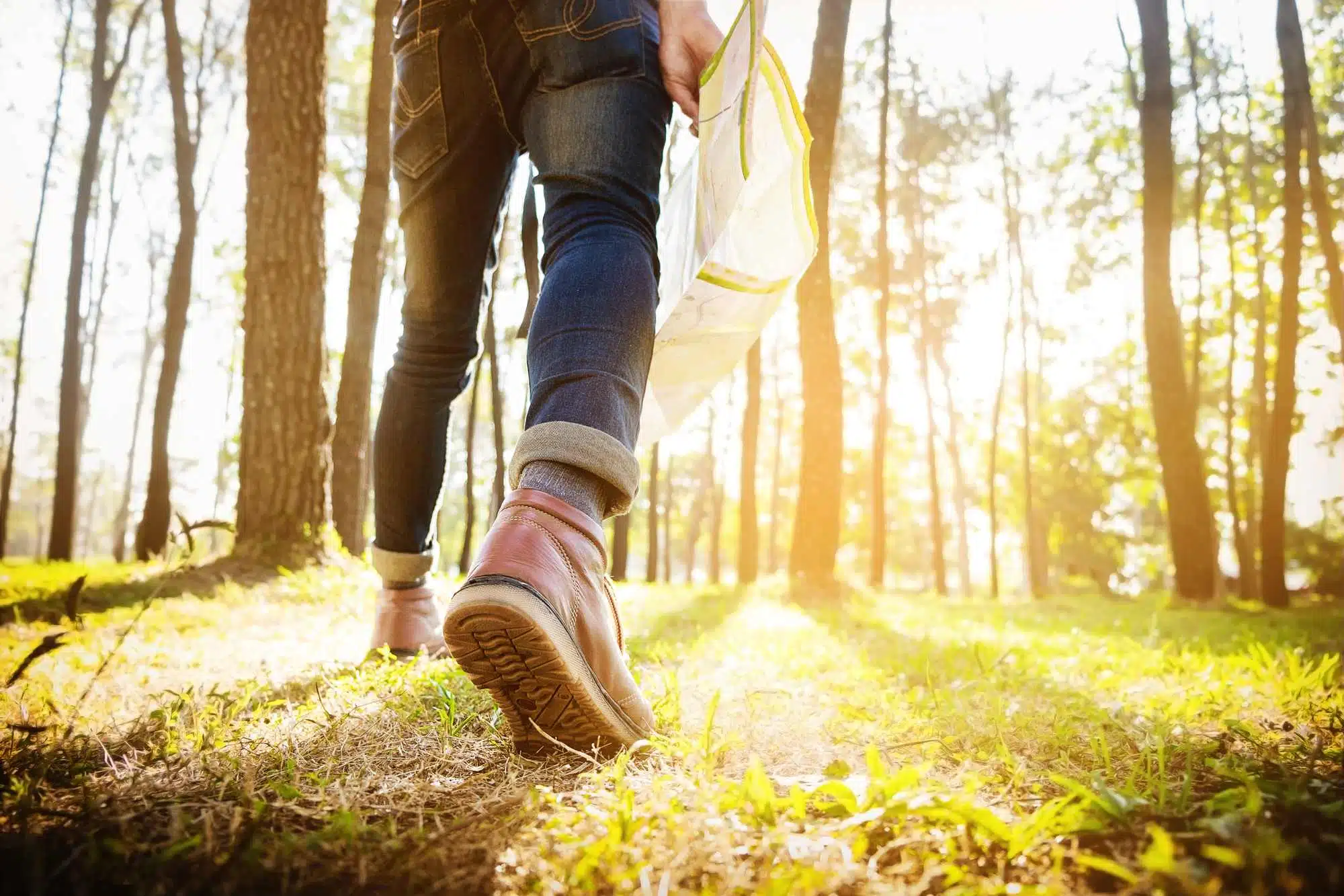 How does the Boy Scout bankruptcy affect victims?