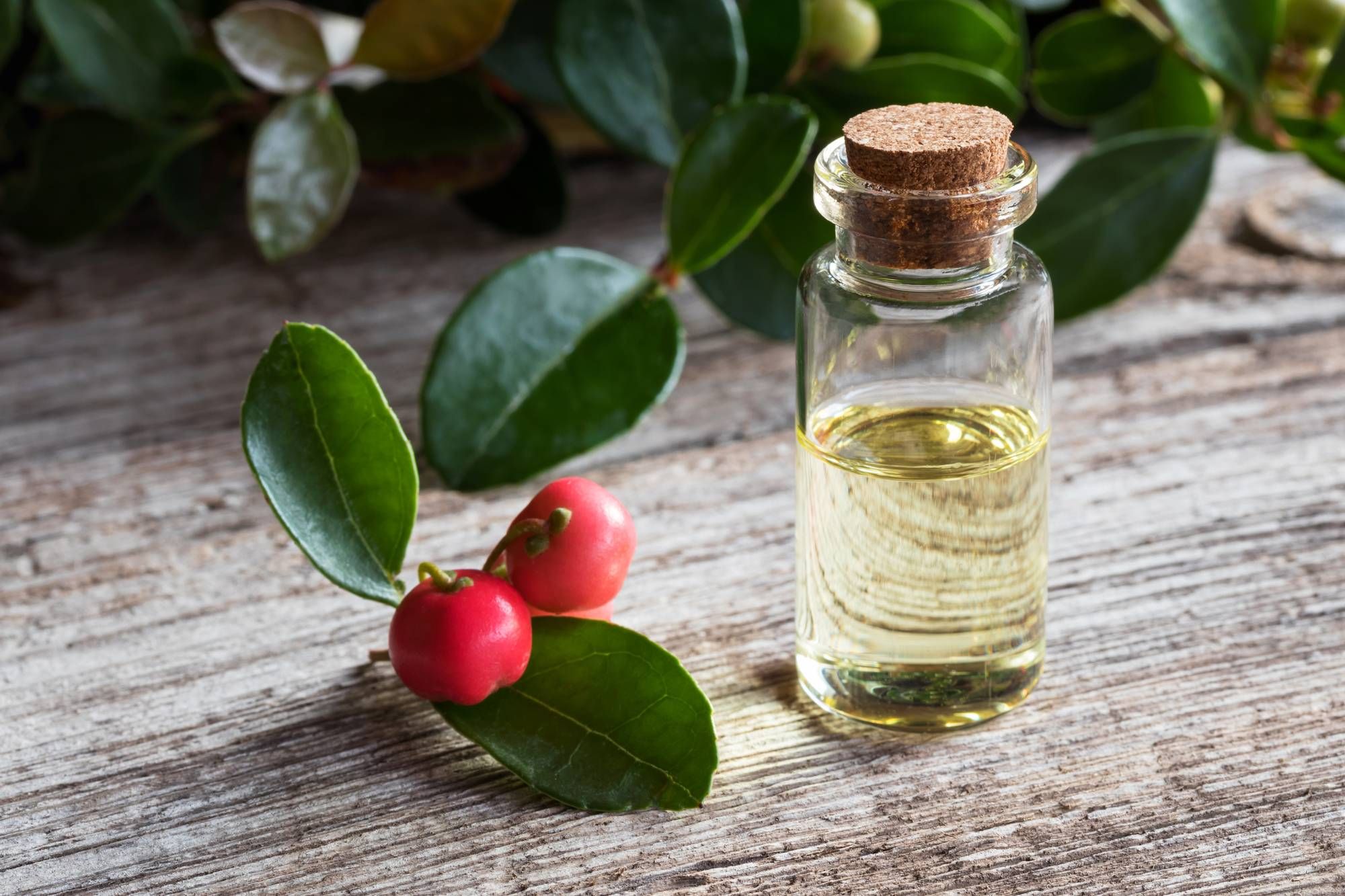 Several wintergreen essential oil products have been recalled due to concerns that children could be injured.