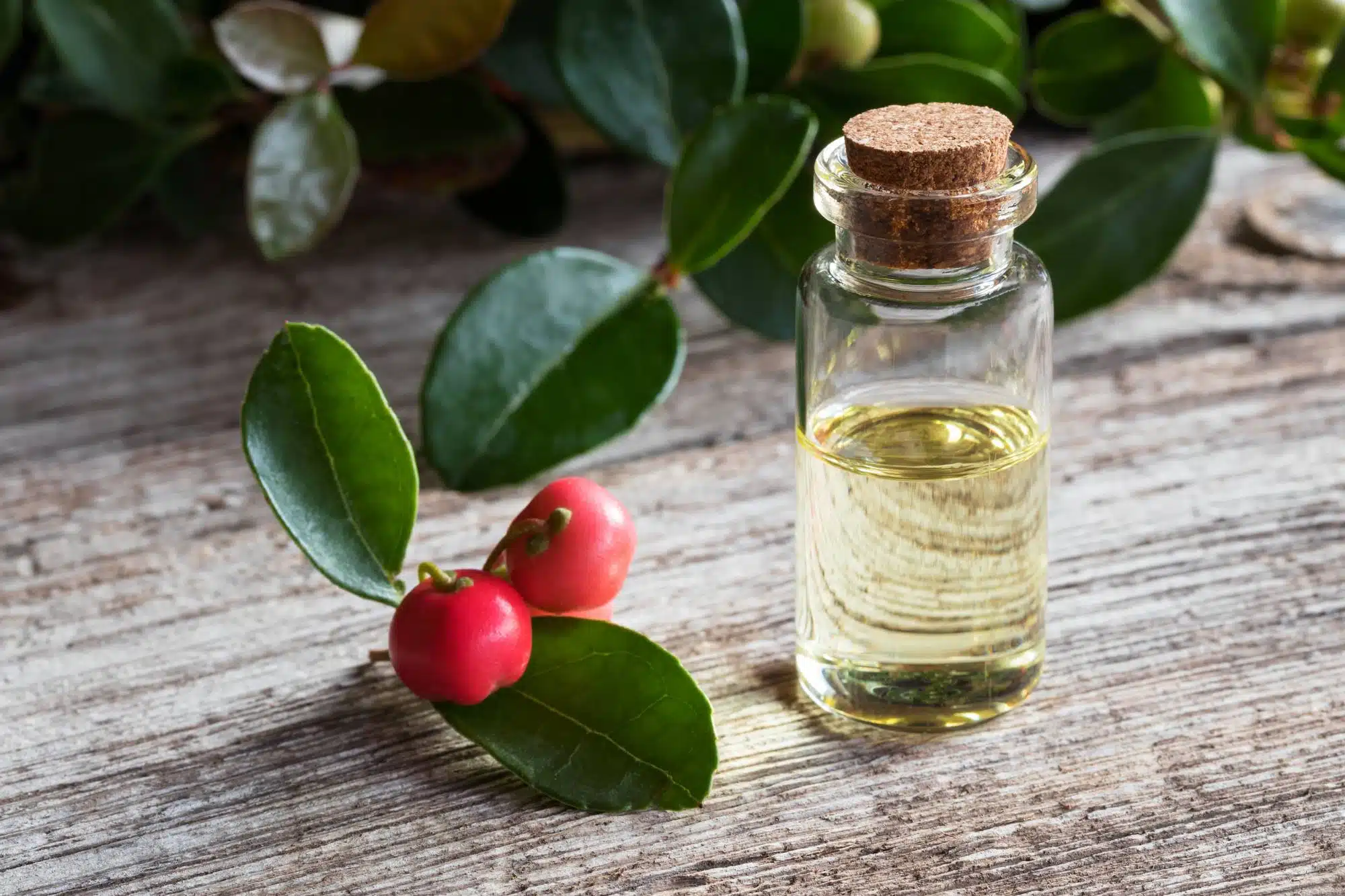 Several wintergreen essential oil products have been recalled due to concerns that children could be injured.