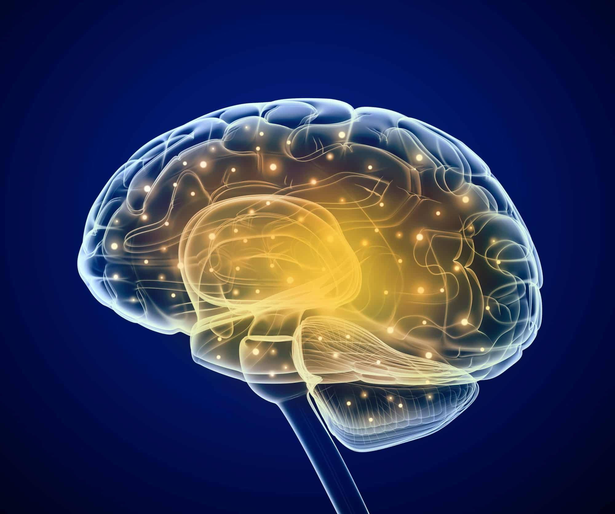 Can you get brain damage from seizure medication?