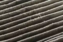 Molekule dirty purifier filter