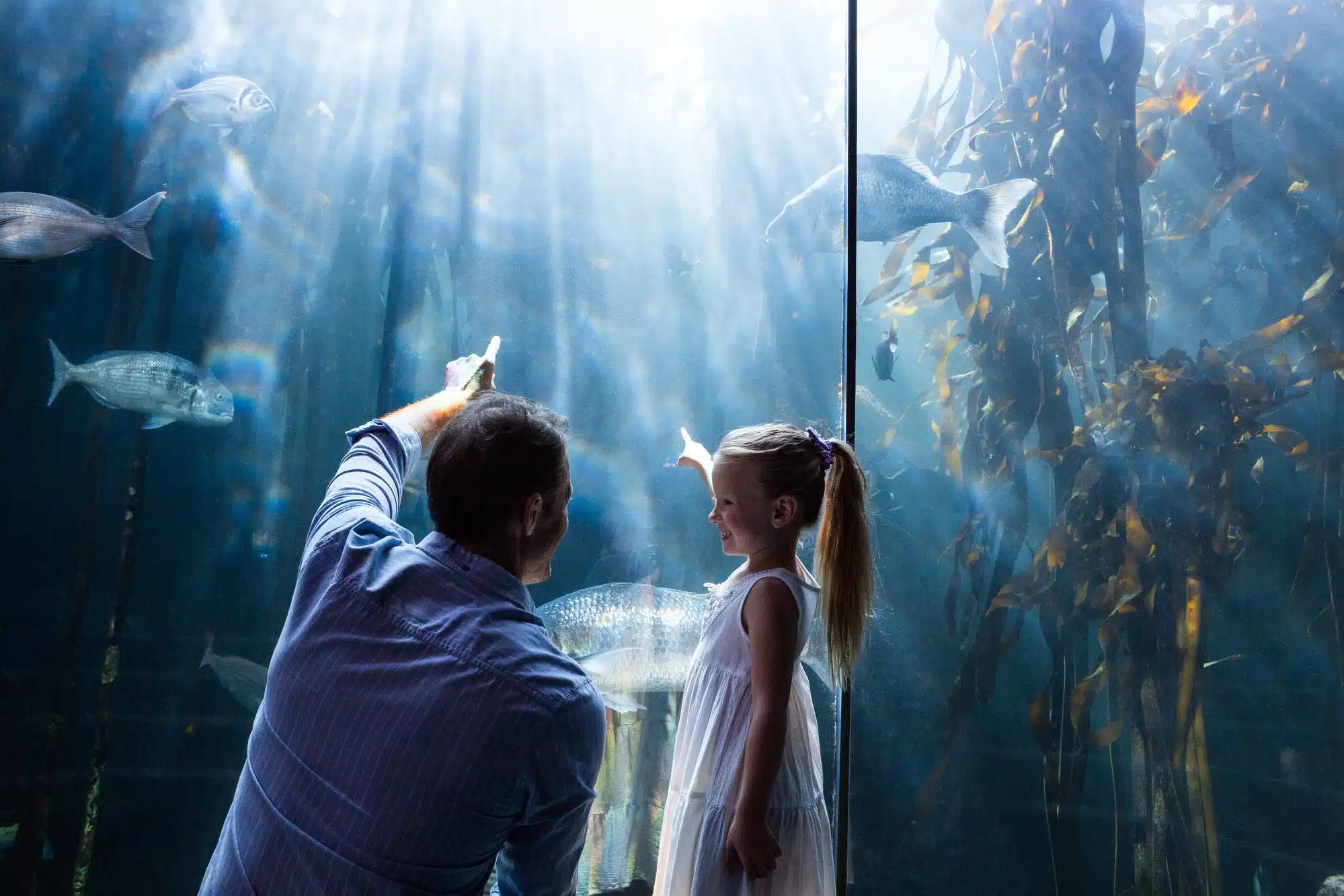 SeaWorld customers have allegedly been denied COVID-19 refunds.