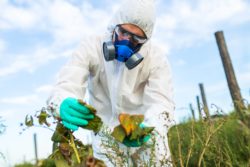 Bayer Roundup class action lawsuits will be resolved in a $10.5 billion settlement.