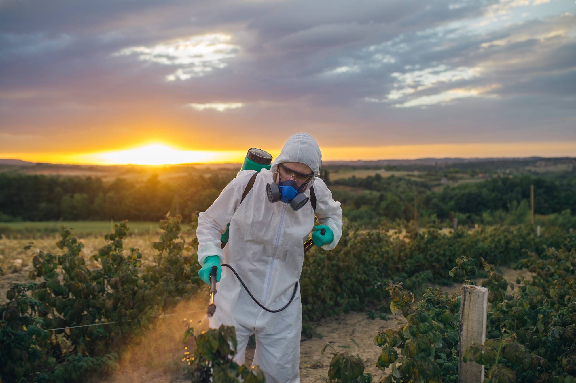 Bayer has agreed to pay $10.5 billion to settle Roundup claims.