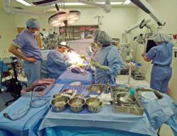 Why are Ethicon surgical staplers recalled?