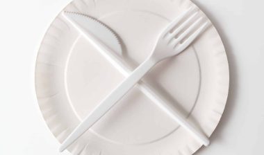 Kroger paper plates