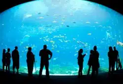 Seaworld customers have allegedly been denied refunds despite coronavirus closures.