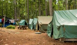 How does the Boy Scout bankruptcy affect me?