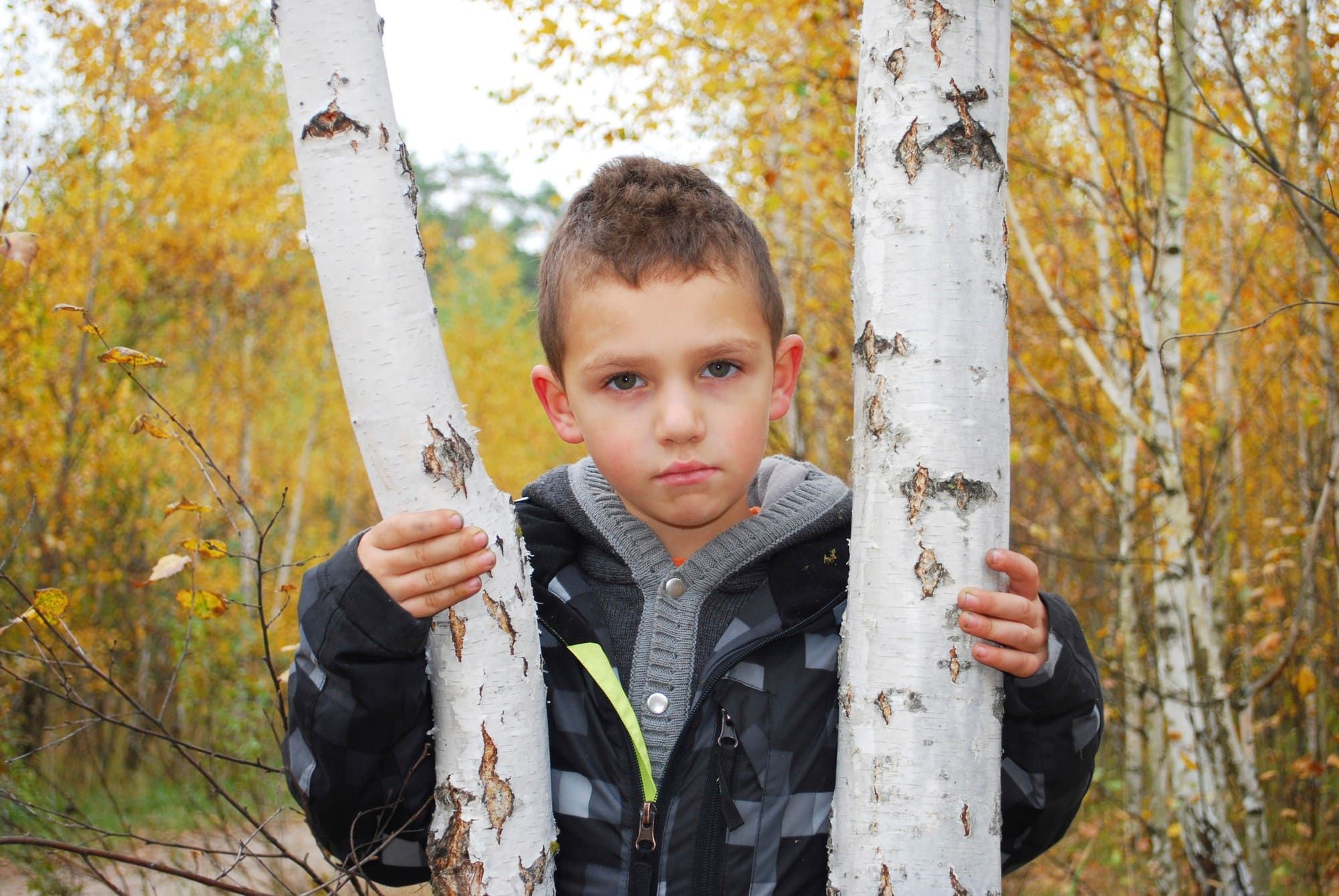 Boy Scouts Chapter 11 may affect abuse victims.