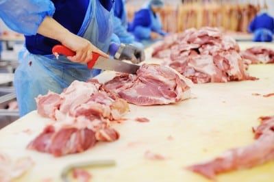 Person in protective clothing processes meat at a meatpacking plant