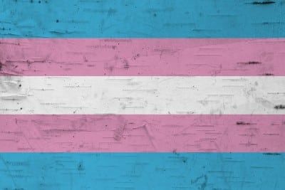 Transgender flag