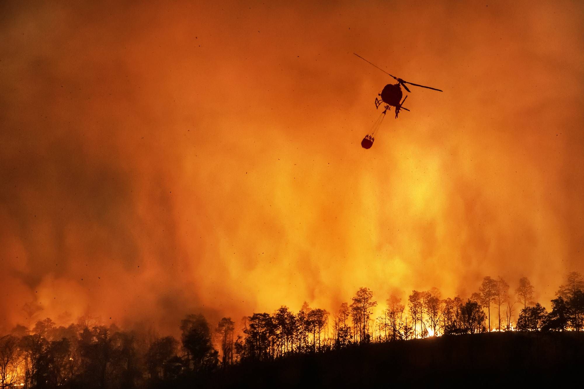 California fire victims may be able to benefit from a trust.