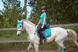 Equestrian Federation coach accused of sexual abuse.