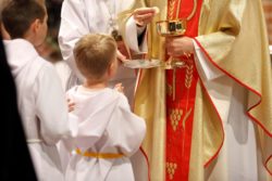 Child Victims Act lawsuits brought against Catholic church.