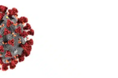 Half of a coronavirus - coronavirus outbreak