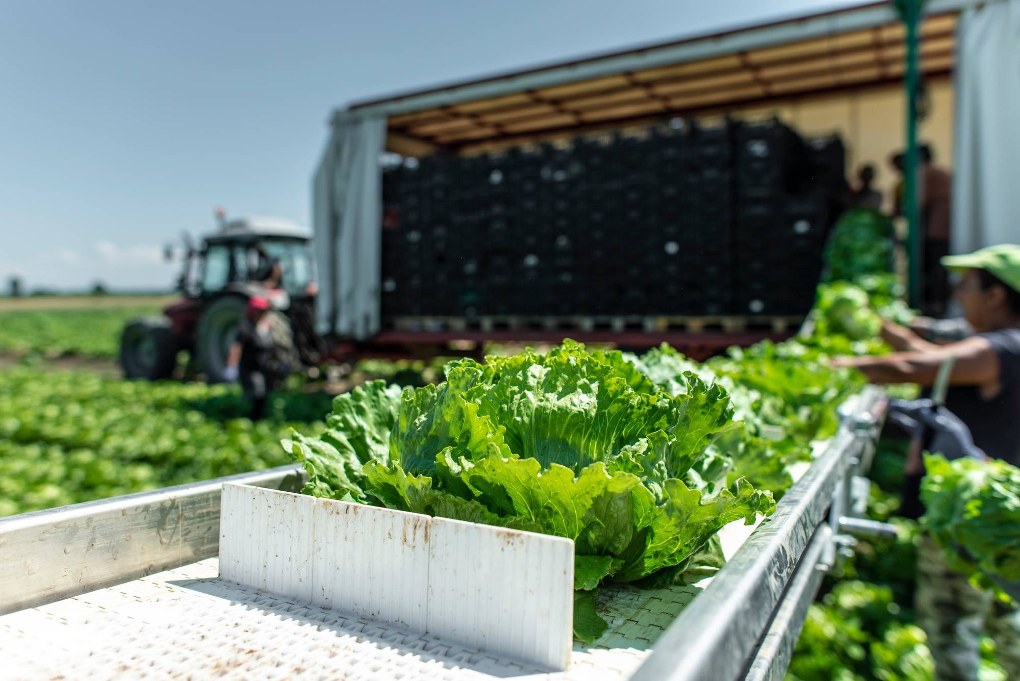 Farmworkers claimed that mandatory testing was racial discrimination.