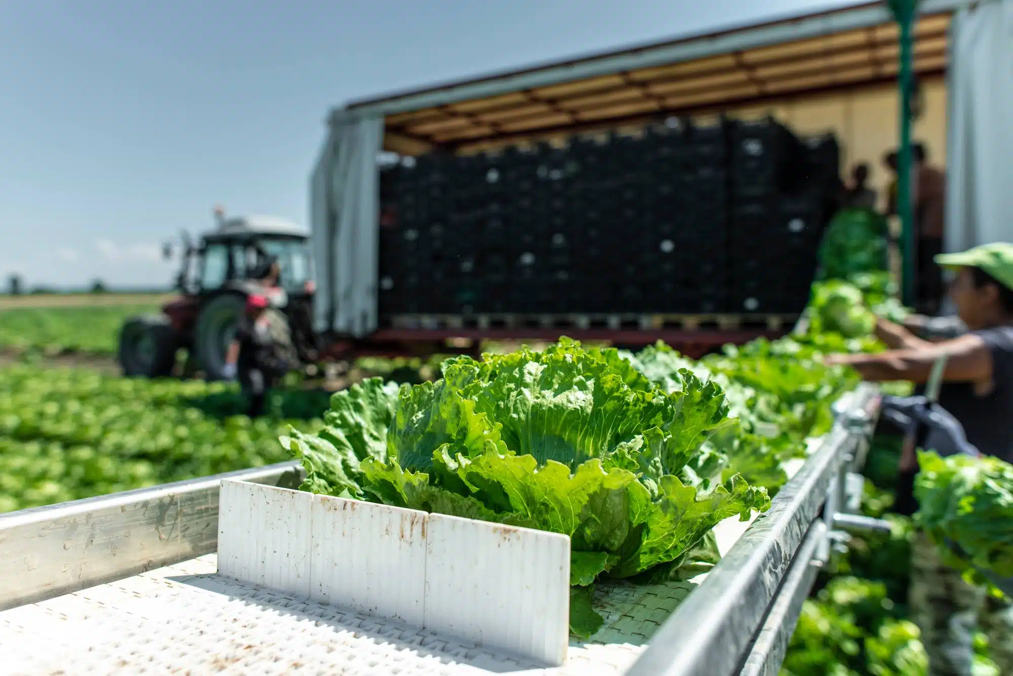 Farmworkers claimed that mandatory testing was racial discrimination.