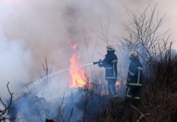 The 2020 wildfire season will be especially challenging.