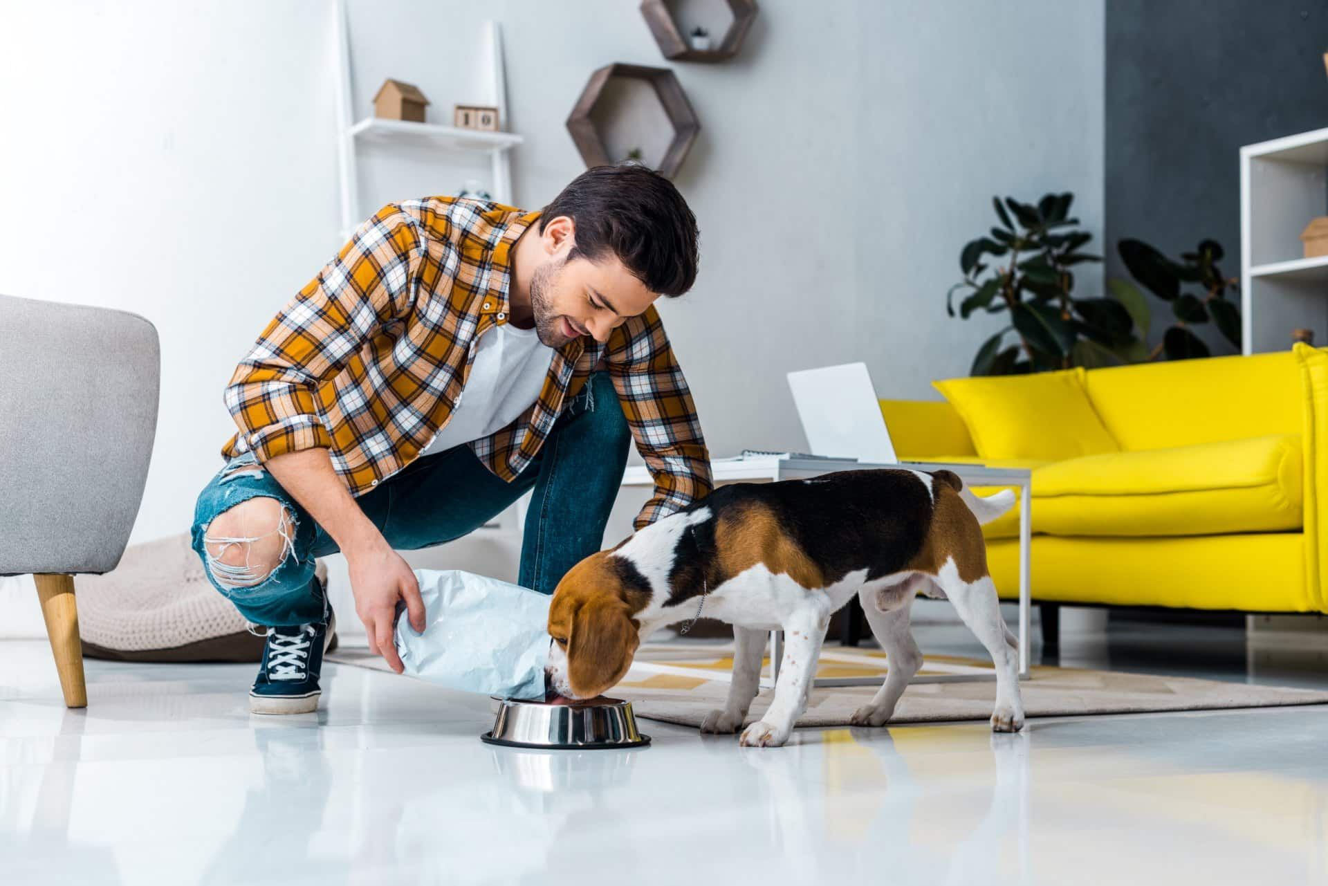 A man in a yellow flannel shirt feeds a beagle in his living room - dog food recall