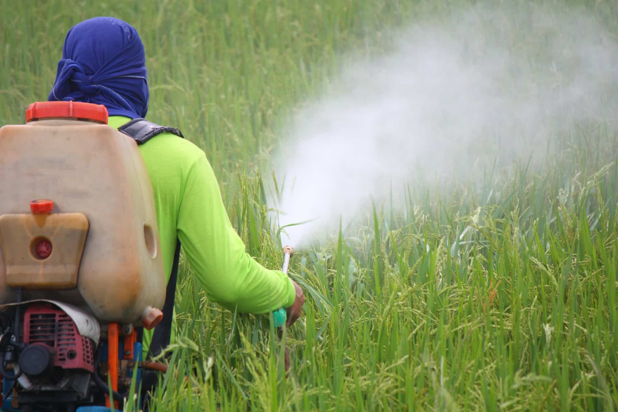 Roundup settlement addresses problems with the herbicide.