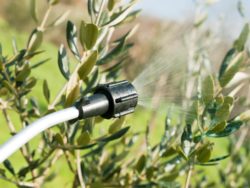 Roundup lawyer was accused of extortion