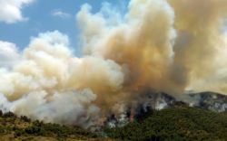 Gender reveal party caused Calif. wildfire.