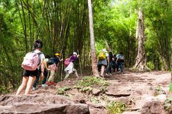 Kids and adults hiking in the forest