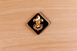 A vintage Boy Scouts of America badge