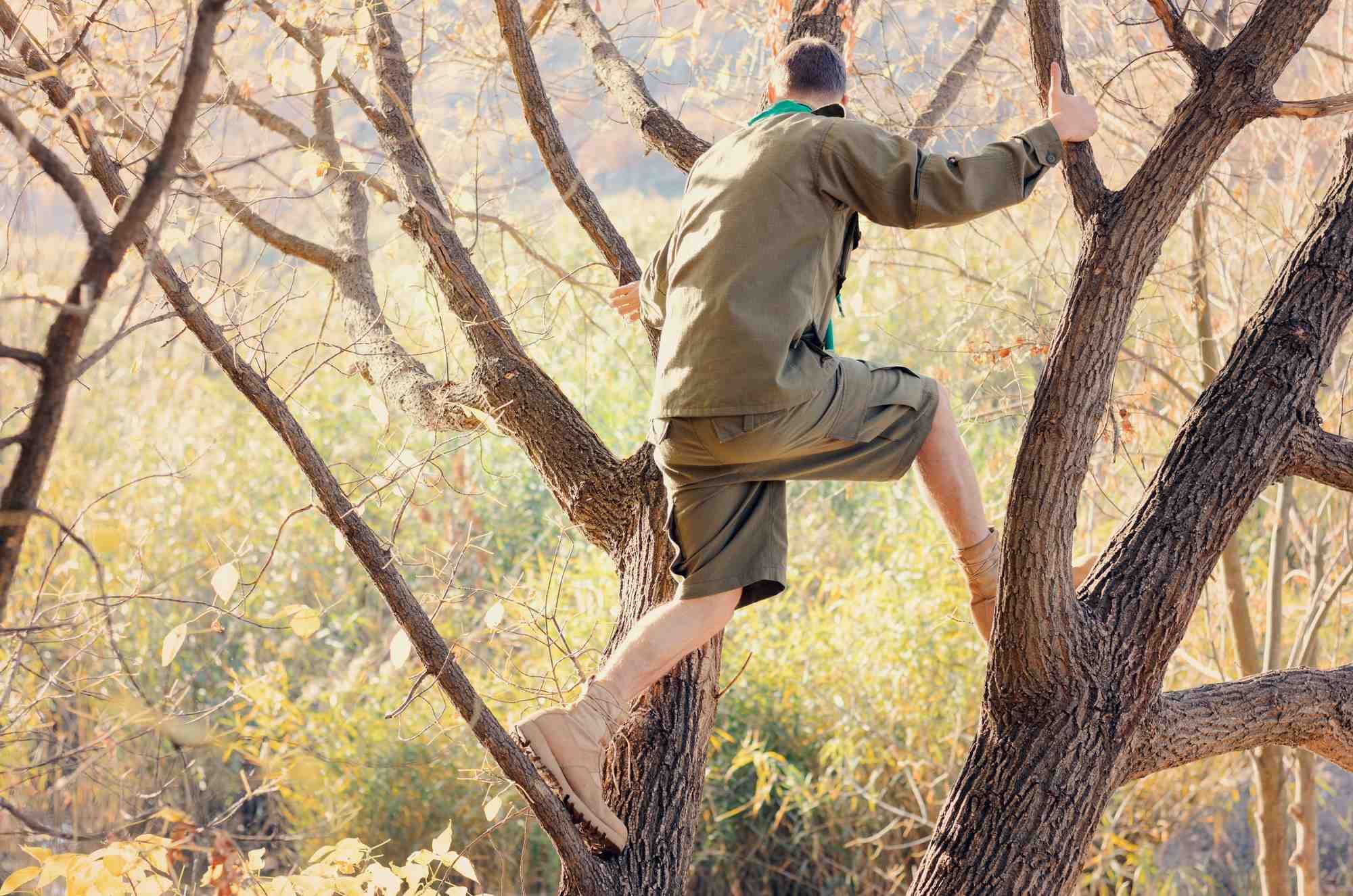 Should you file a Boy Scouts lawsuit?