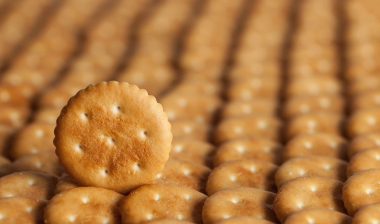 One circular cracker stands on end among rows of circular crackers lying flat - Pepperidge Farm Golden Butter Crackers
