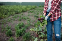 What was the $21M Roundup cancer verdict?