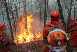 Firefighters extinguish a California wildfire