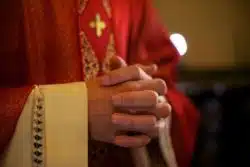 What crimes did Theodore McCarrick commit? 
