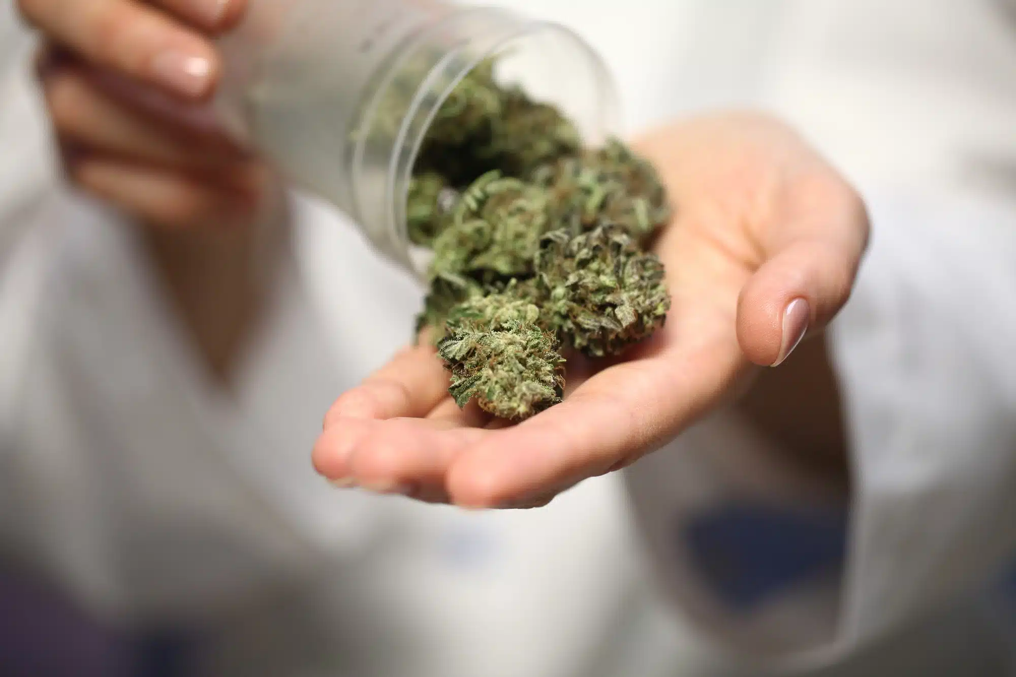 Recreational marijuana dispensary