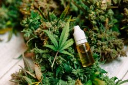 Trulieve Dispensary may have violated the TCPA.