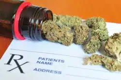 Medical marijuana, Curaleaf, faces a TCPA class action lawsuit.