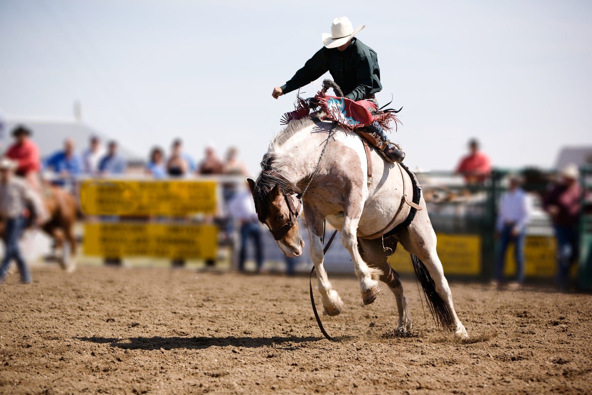 Houston Rodeo was denied business interruption insurance despite the pandemic.