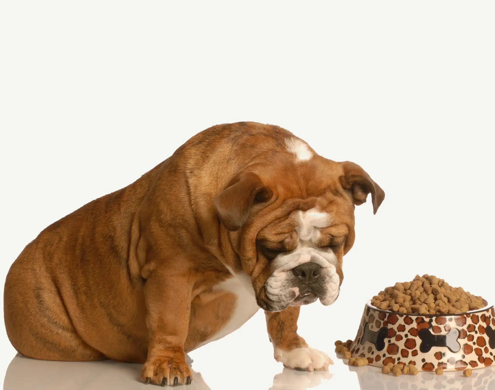 Sunshine Mille issued a pet food recall over mold contamination.