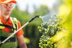 Roundup verdict challenged.