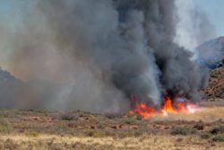 The August Complex fire is contributing to a record-breaking wildfire season in the west.