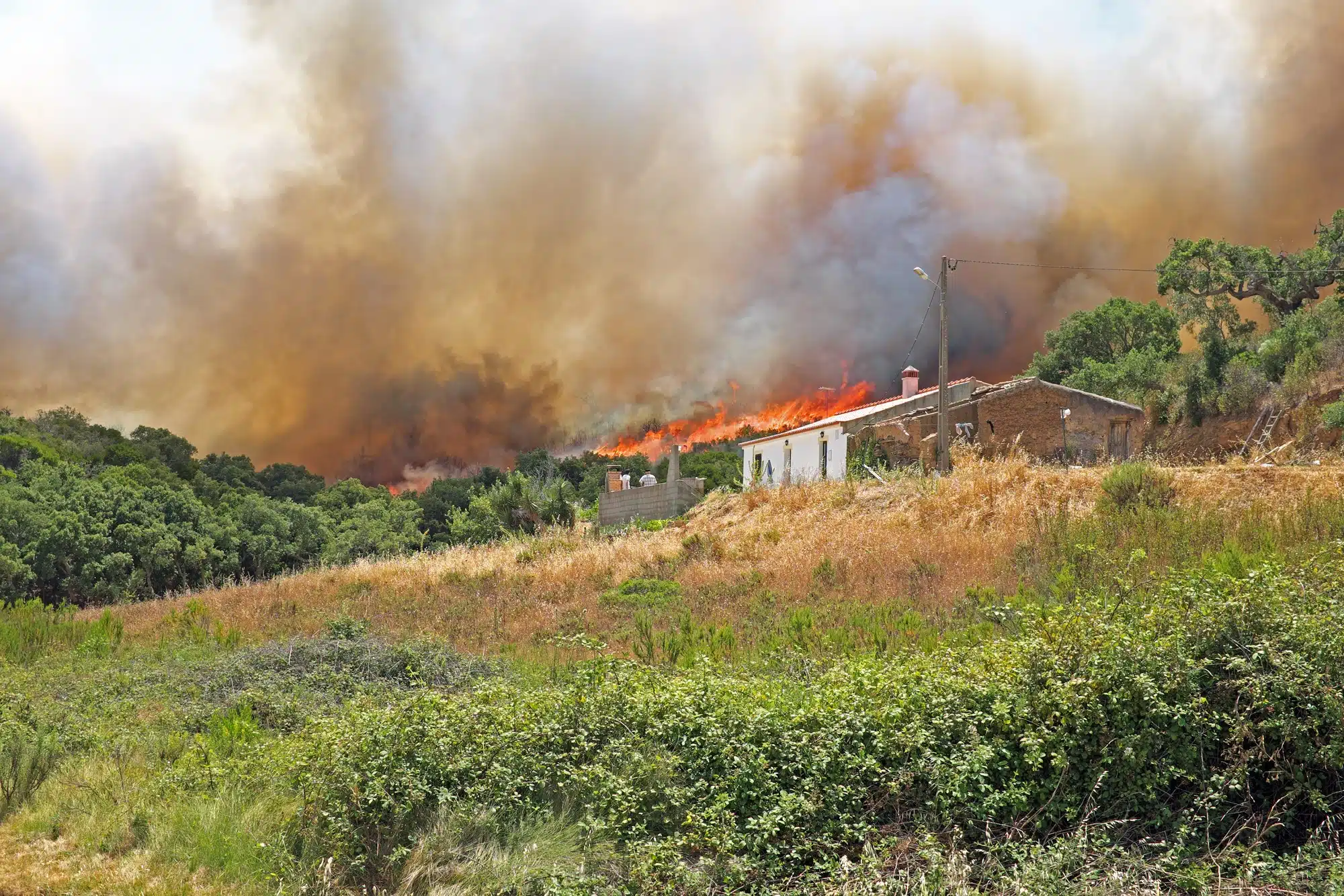 SoCal Edison settles over wildfires.