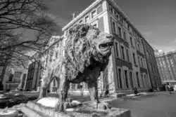 photo of Columbia University