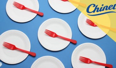 Paper plates - Chinet disposable plates
