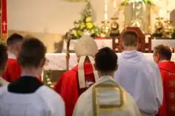 The McCarrick report was widely anticipated.